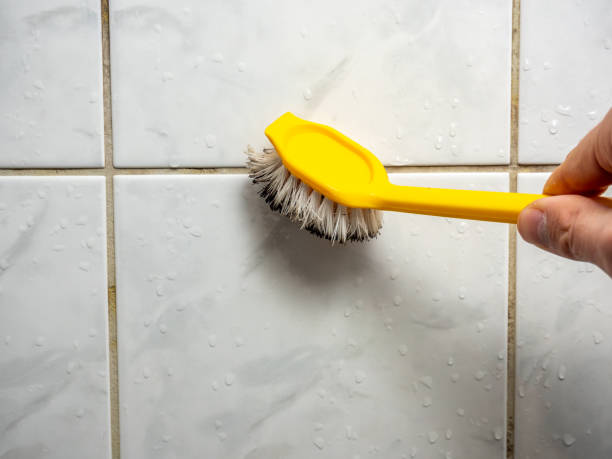 Best Mold Testing  in Moss Bluff, LA